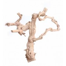 GRAPEWOOD BRANCHY Sanded 18"- OUT OF STOCK - CA ONLY